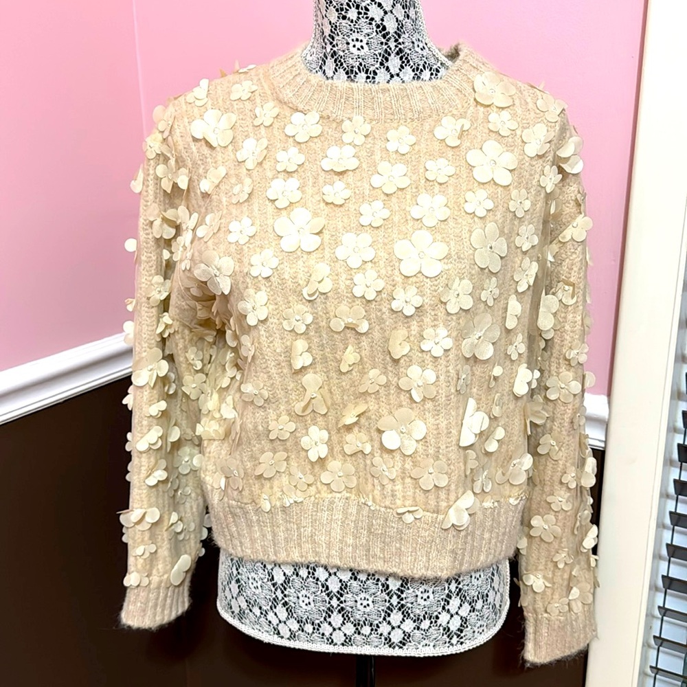 NWT Zara Sweater with embellishments Light Tan, Small